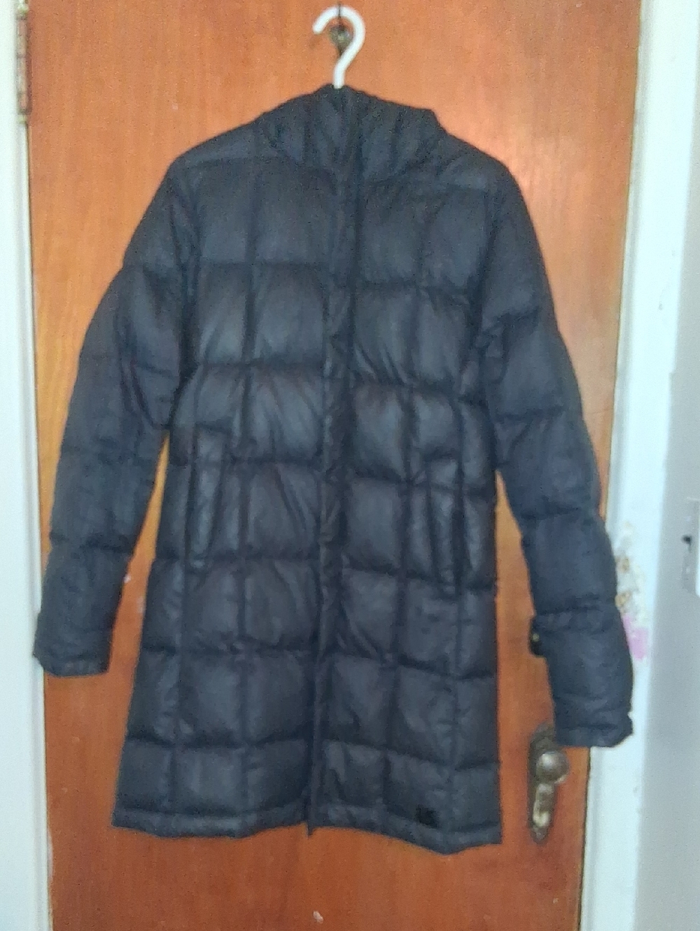Long Quilted Hooded Down Filled Puffer Coat in Black